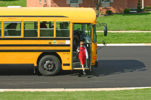 school transportation 